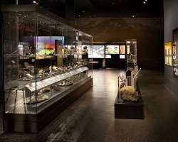 The lighting in the museum is so designed to protect the exhibits. You may feel dim light in a certain area that is deliberately created to protect th